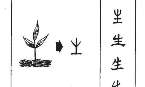 葎草图片大全大图-?x草图片网-分享草图片壁纸，草芓图片知识库