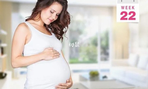 草图片长什么样子-?x草图片网-分享草图片壁纸，草芓图片知识库